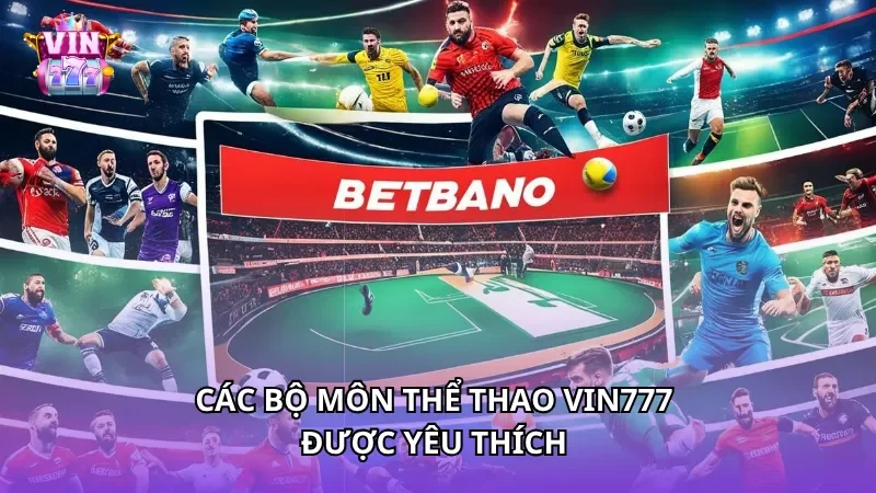 Các bộ môn thể thao Vin777 được yêu thích
