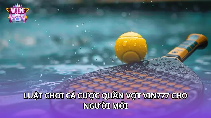 Luật chơi cá cược quần vợt Vin777 cho người mới